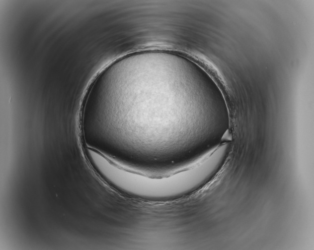 X0000093421373200711091409