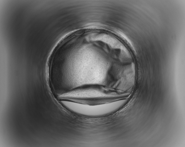 X0000093421376200711091409