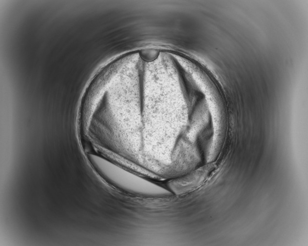 X0000093421379200711091409