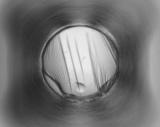 X0000093421380200711091409