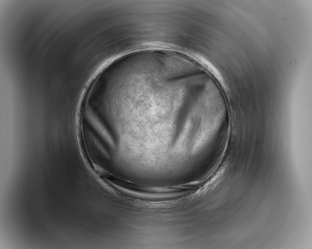 X0000093421381200711091409