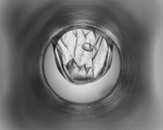 X0000093421384200711091409