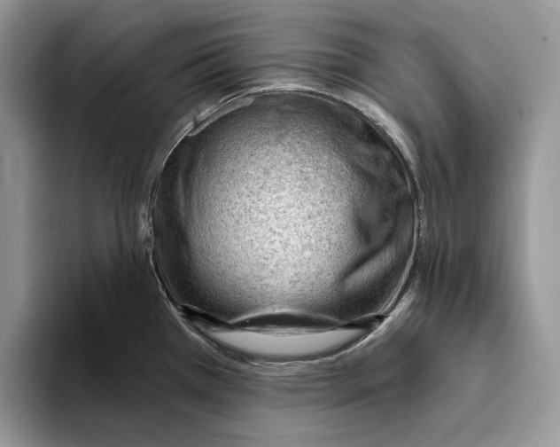 X0000093421385200711091409