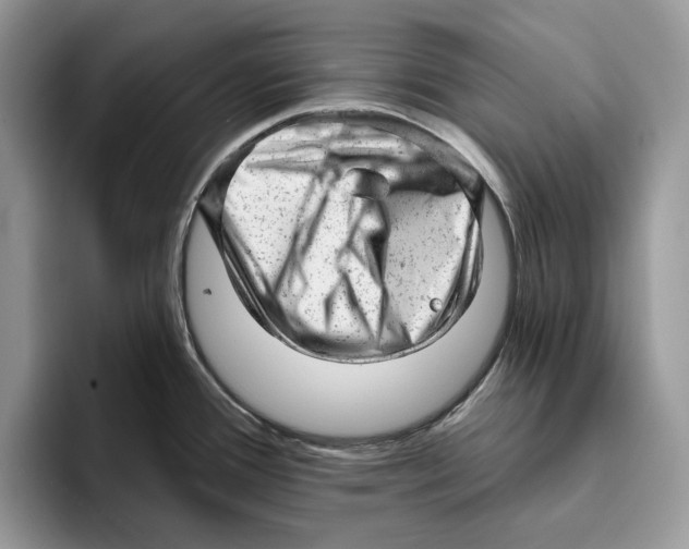 X0000093421388200711091409