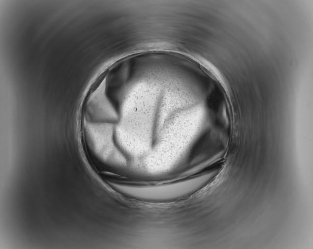 X0000093421389200711091409