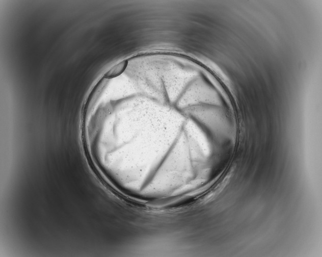 X0000093421390200711091409