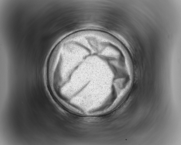 X0000093421391200711091409