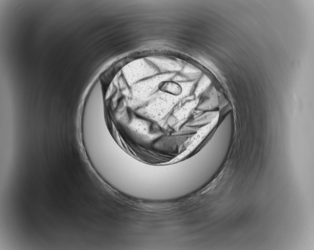 X0000093421392200711091409