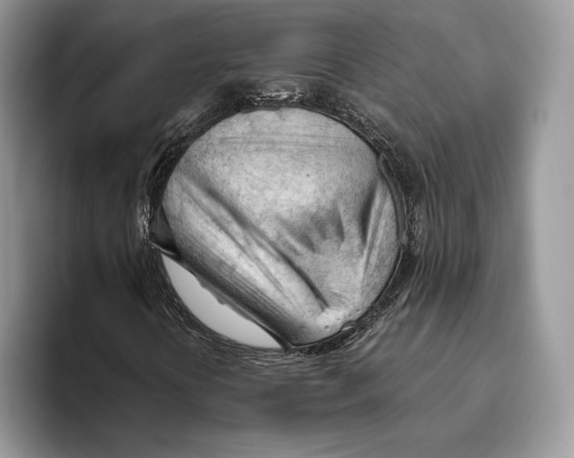 X0000093421394200711091409