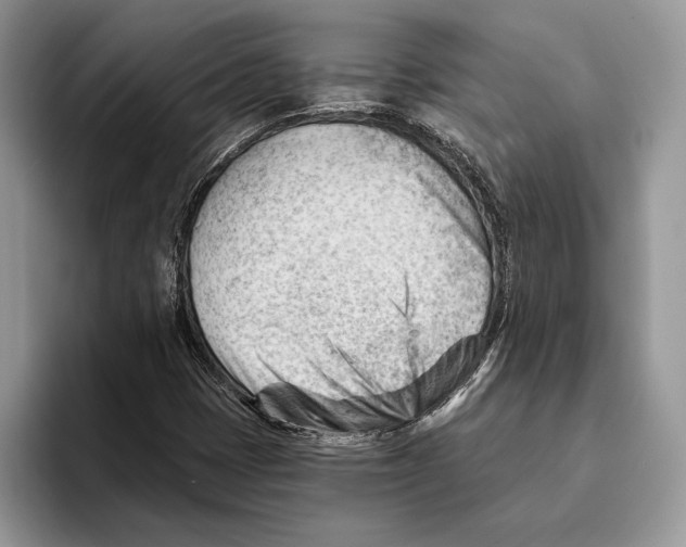 X0000093421401200711091409