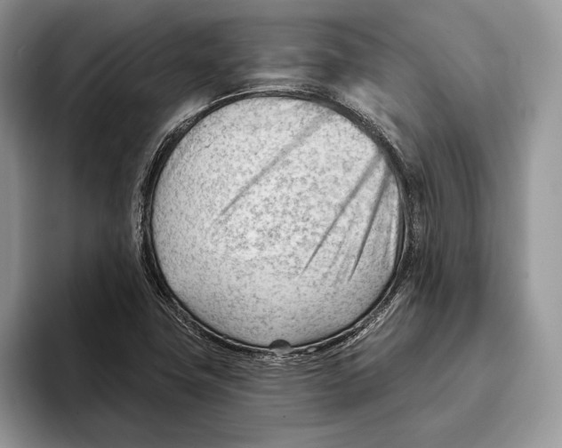 X0000093421411200711091409