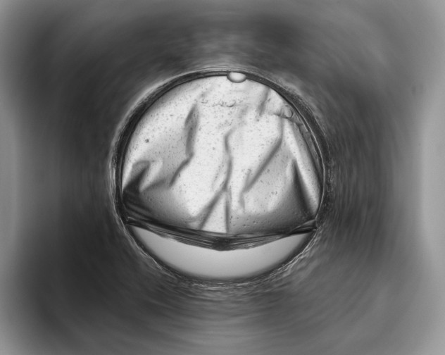 X0000093421416200711091409