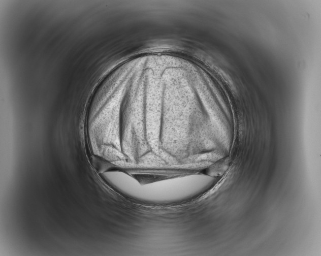 X0000093421417200711091409