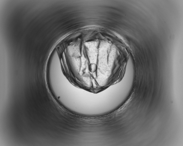 X0000093421418200711091409