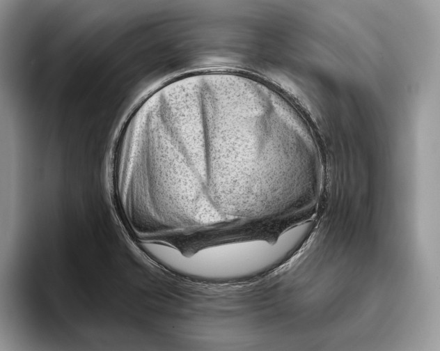 X0000093421421200711091409