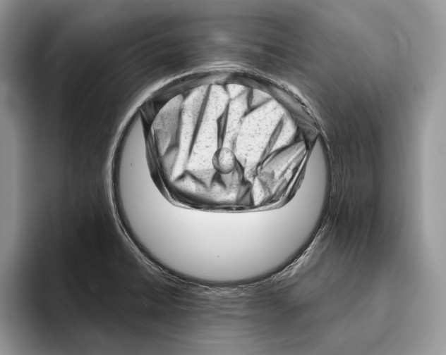 X0000093421422200711091409