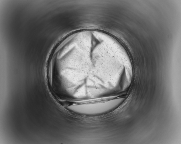 X0000093421424200711091409