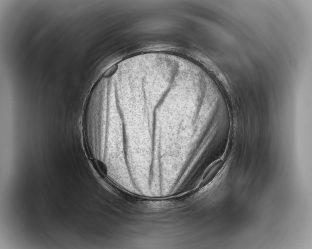 X0000093421425200711091409