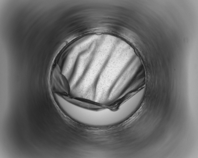 X0000093421426200711091409