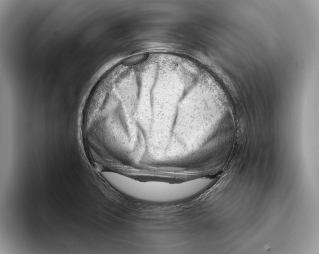 X0000093421427200711091409