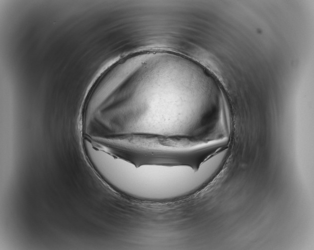 X0000093421428200711091409