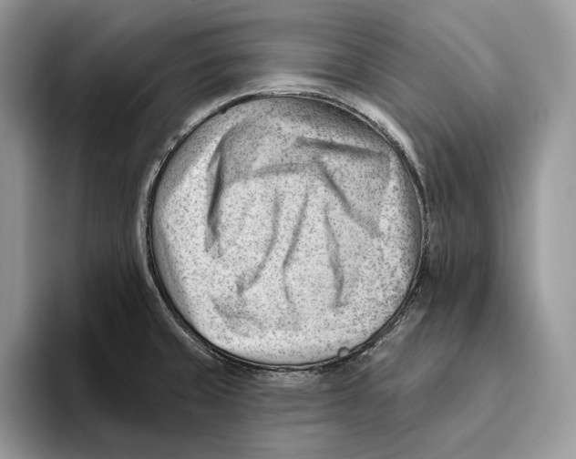 X0000093421429200711091409