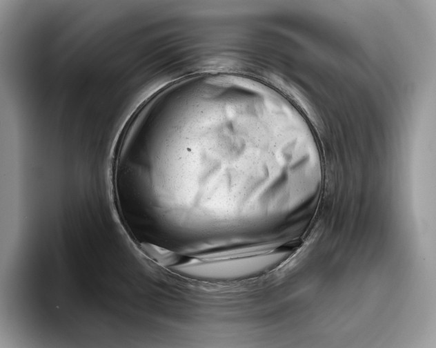 X0000093421434200711091409