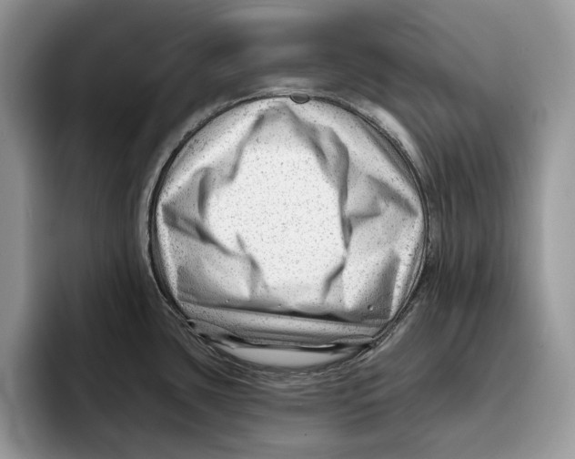 X0000093421435200711091409