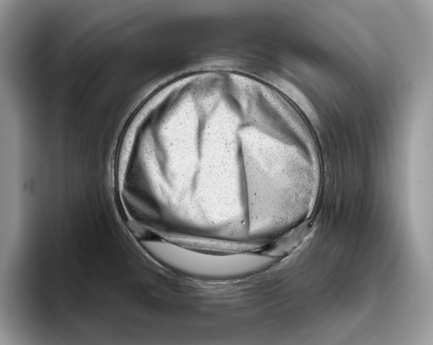 X0000093421436200711091409