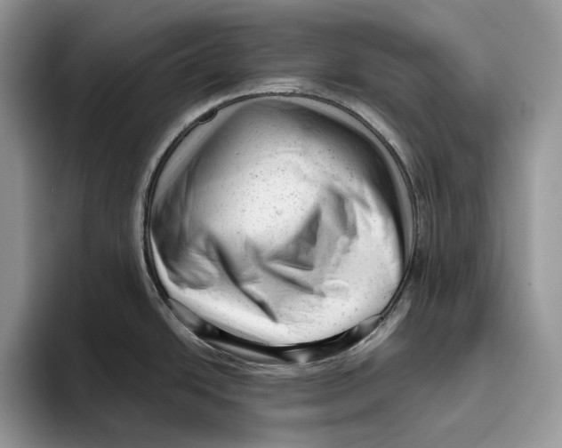 X0000093421438200711091409