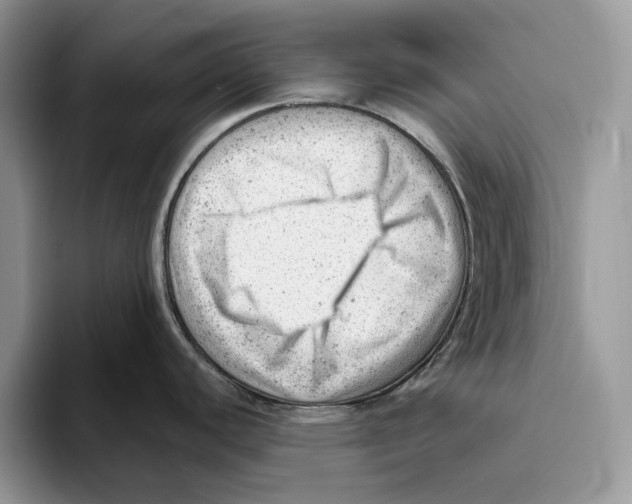 X0000093421440200711091409