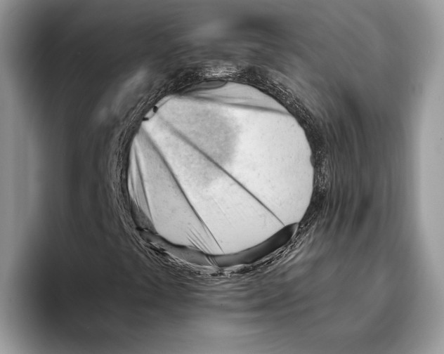 X0000093421441200711091409