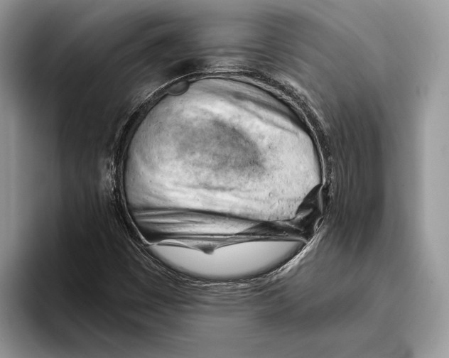 X0000093421449200711091408