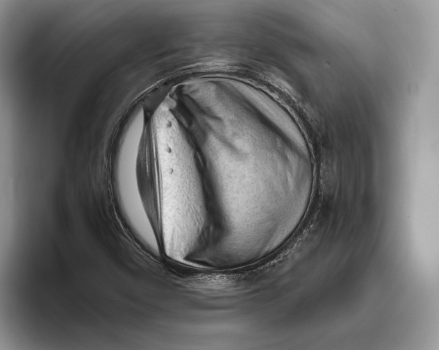 X0000093421450200711091408