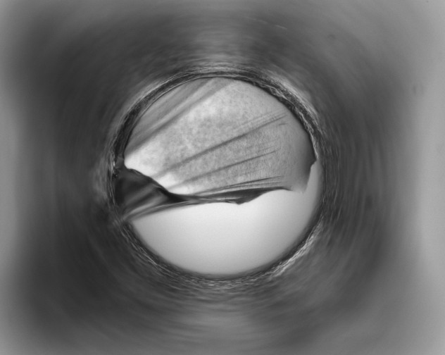 X0000093421453200711091408