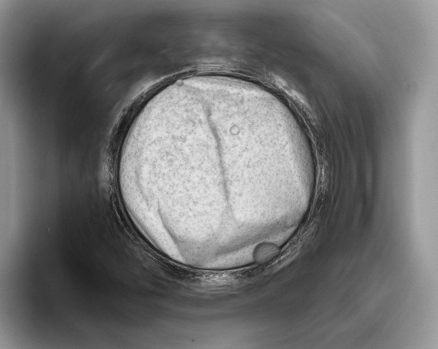 X0000093421454200711091408