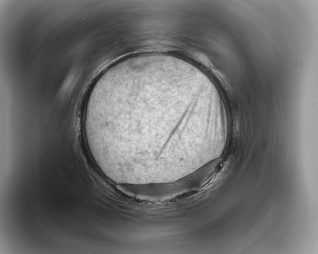 X0000093421459200711091408