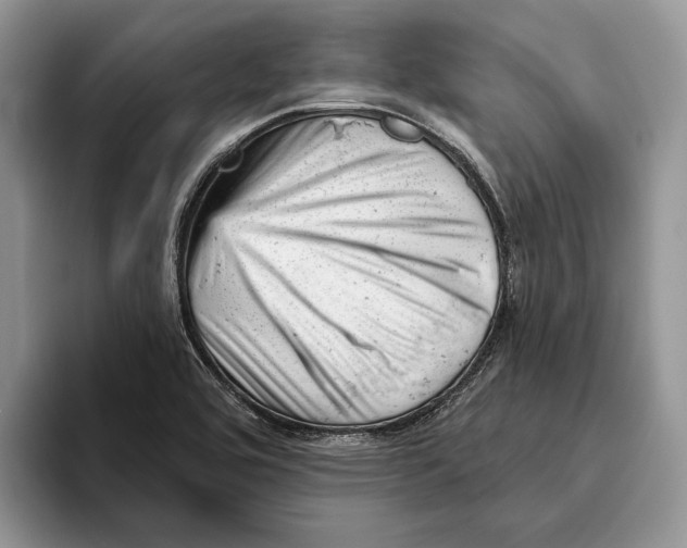 X0000093421464200711091408