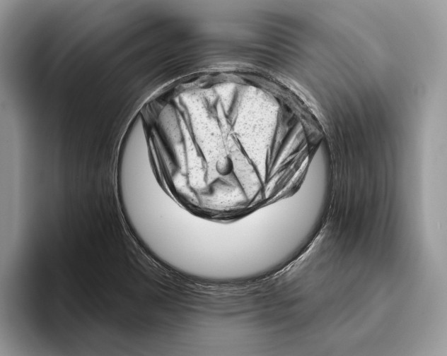 X0000093421465200711091408