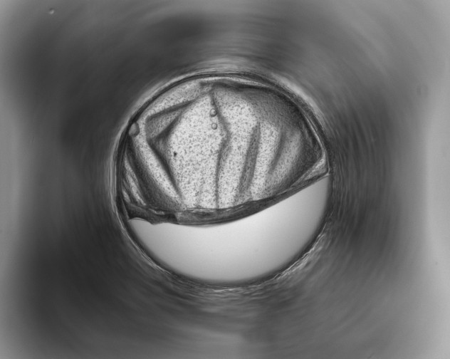 X0000093421467200711091408