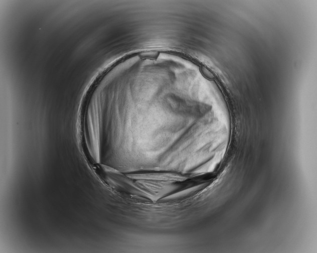 X0000093421469200711091408