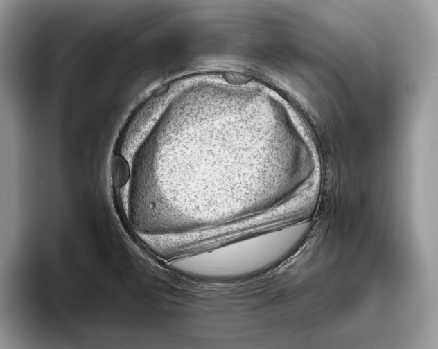 X0000093421471200711091408