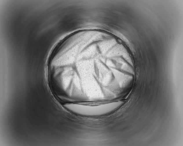 X0000093421472200711091408