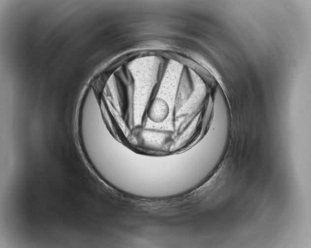 X0000093421477200711091408