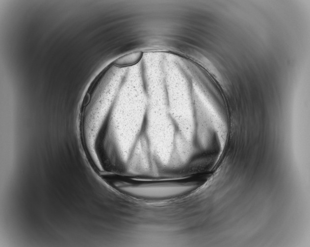 X0000093421484200711091408