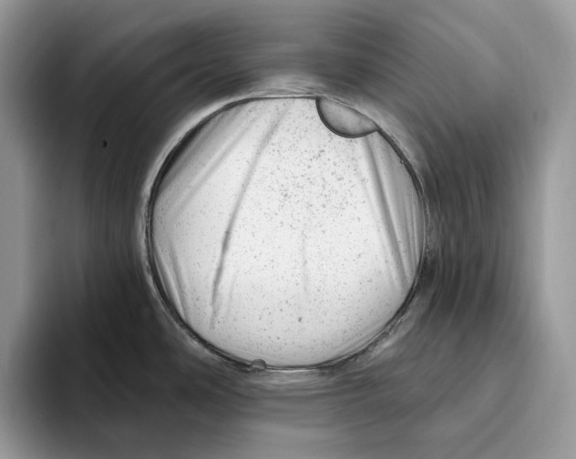 X0000093421486200711091408