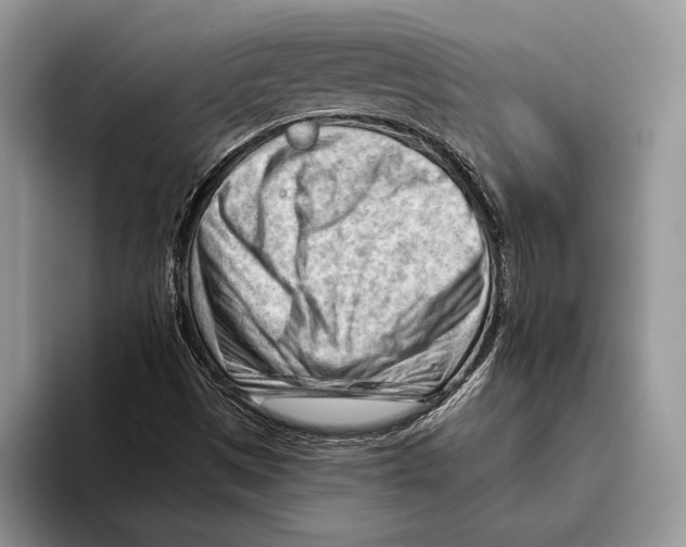 X0000093421497200711091408