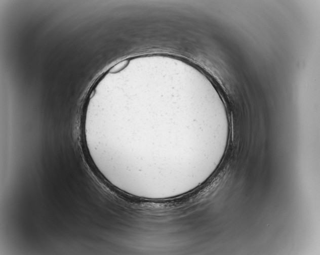 X0000093421500200711091408