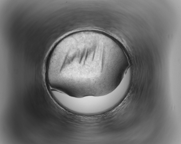 X0000093421508200711091408