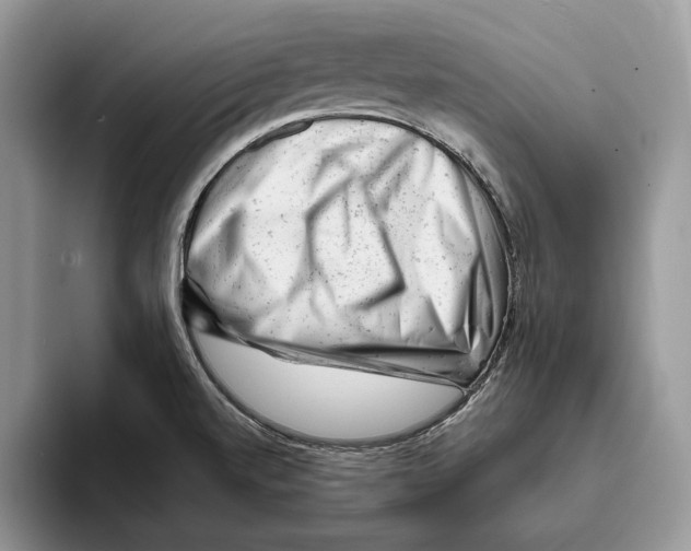 X0000093421520200711091408